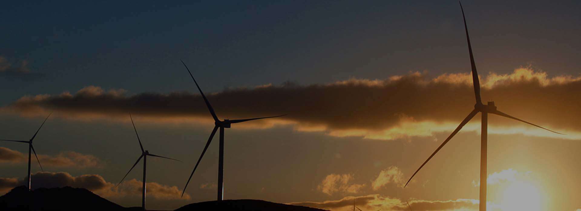 Automatización Procesos Financieros Capital Energy All CMS